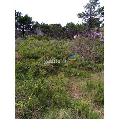 Venta terreno- punta del diablo -bv.  san miguel próximo a