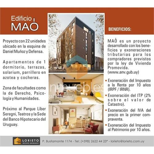 Edifico mao