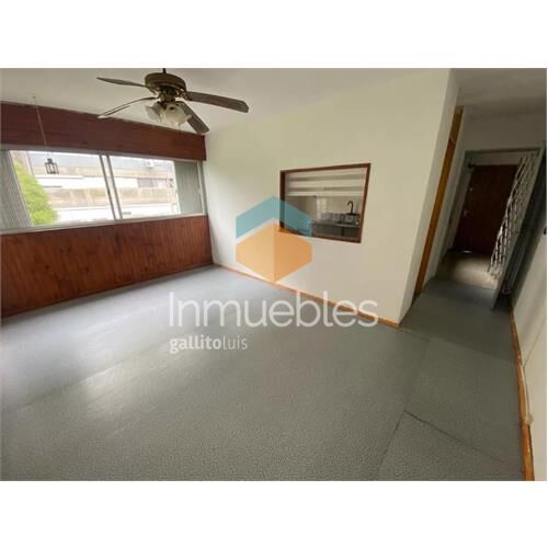 Apartamento en alquiler - 1 dormitorio - malvín norte