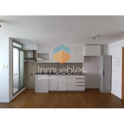 Alquiler apartamento 1 habitación malvin sur.