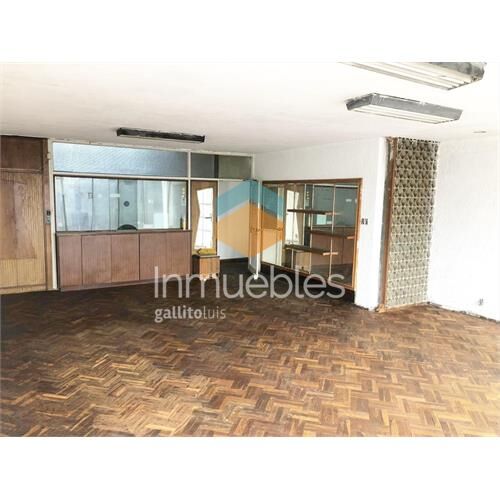 Amplio local comercial y vivienda sobre avenida millán - sa
