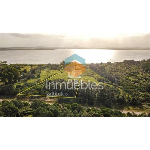 Venta de chacra en laguna del sauce, punta del este - ref :