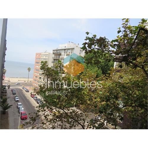 Venta excelente apartamento con renta tres dormitorios - po