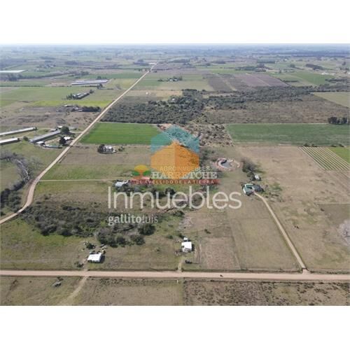 Chacra en venta los cerrillos, 1 has con casa de